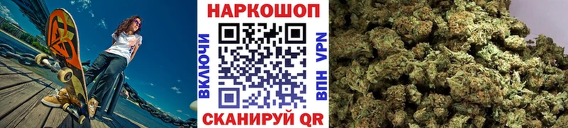 Виды наркотиков купить Стародуб Псилоцибиновые грибы  COCAIN  ГАШИШ  Конопля 