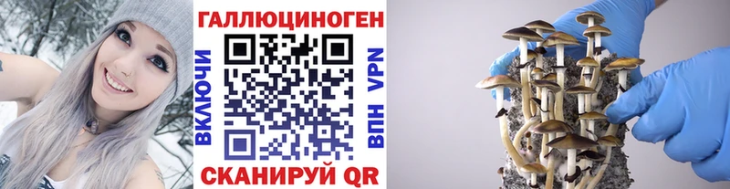 Псилоцибиновые грибы MAGIC MUSHROOMS  Стародуб 